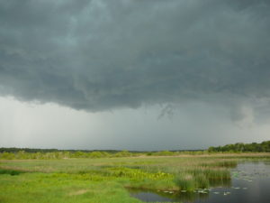 Top End storm over Fogg Dam. Image by I. Morris.