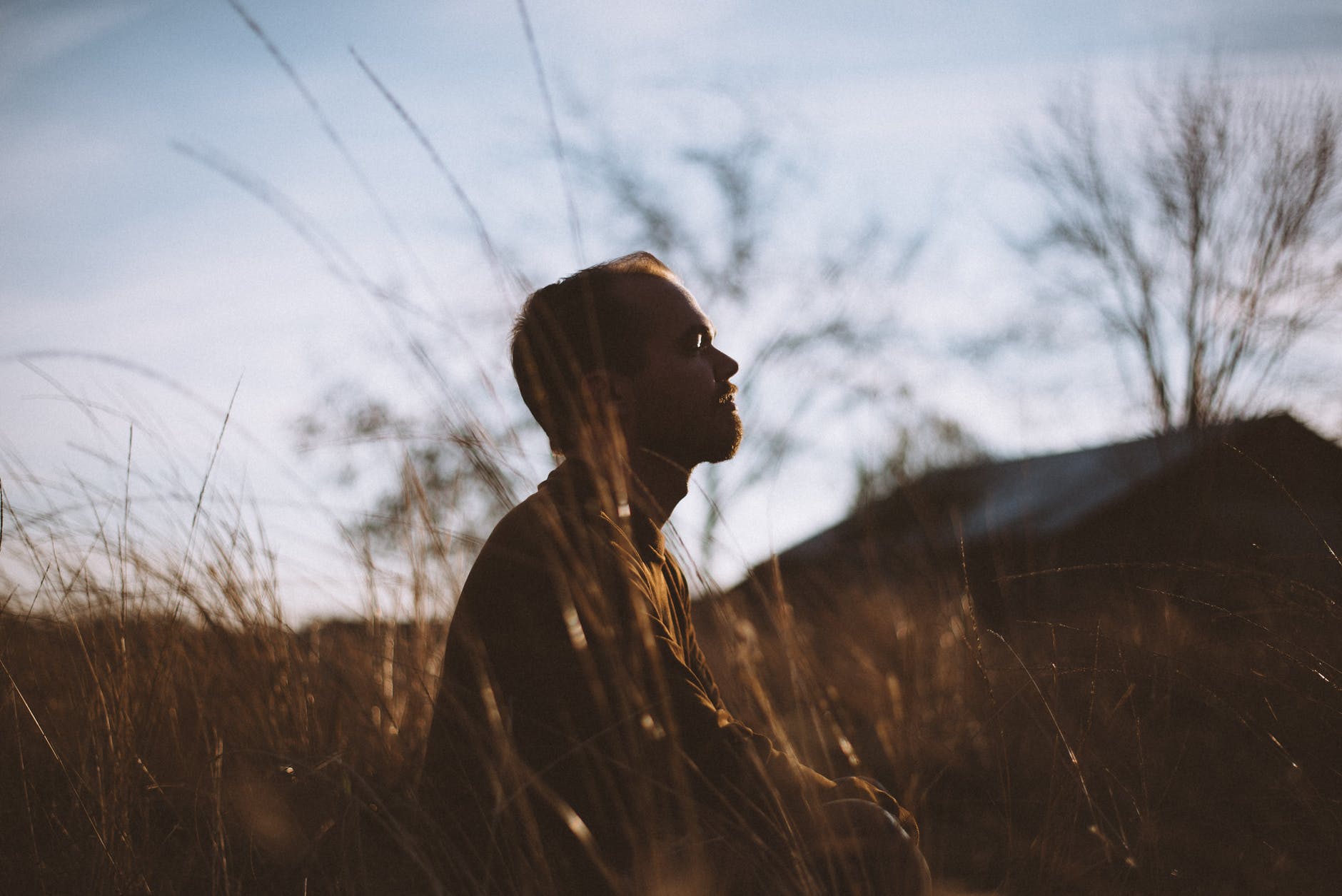 Mindfulness in Nature Meditation for those who can't