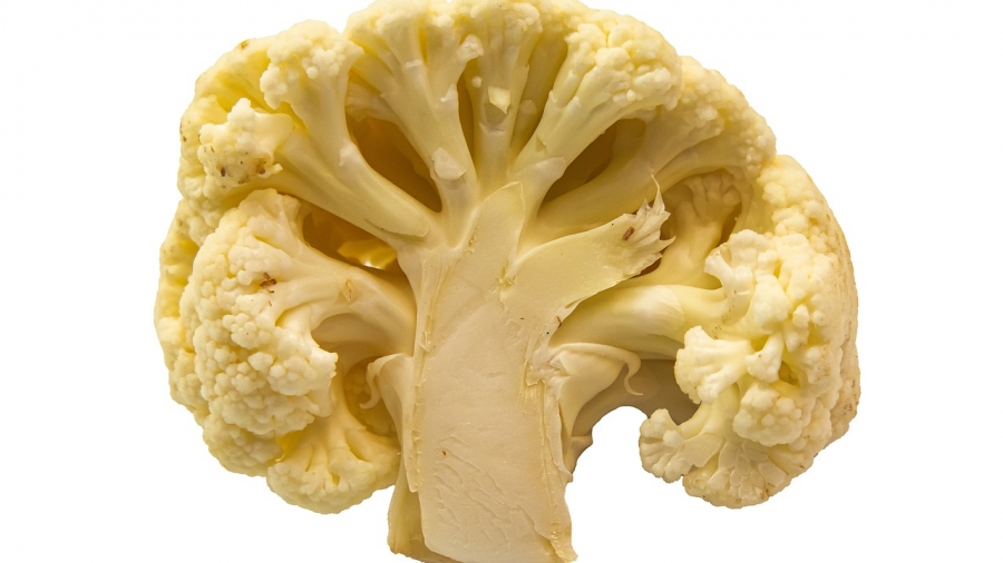 cauliflower brain