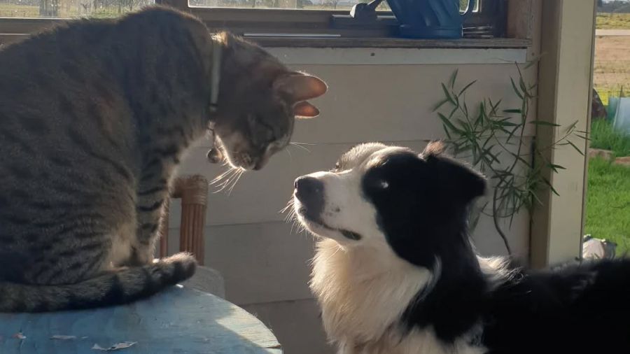 Unlikely Connections.