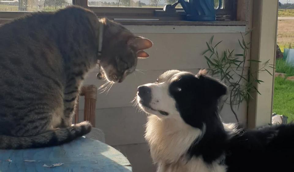 Unlikely Connections.